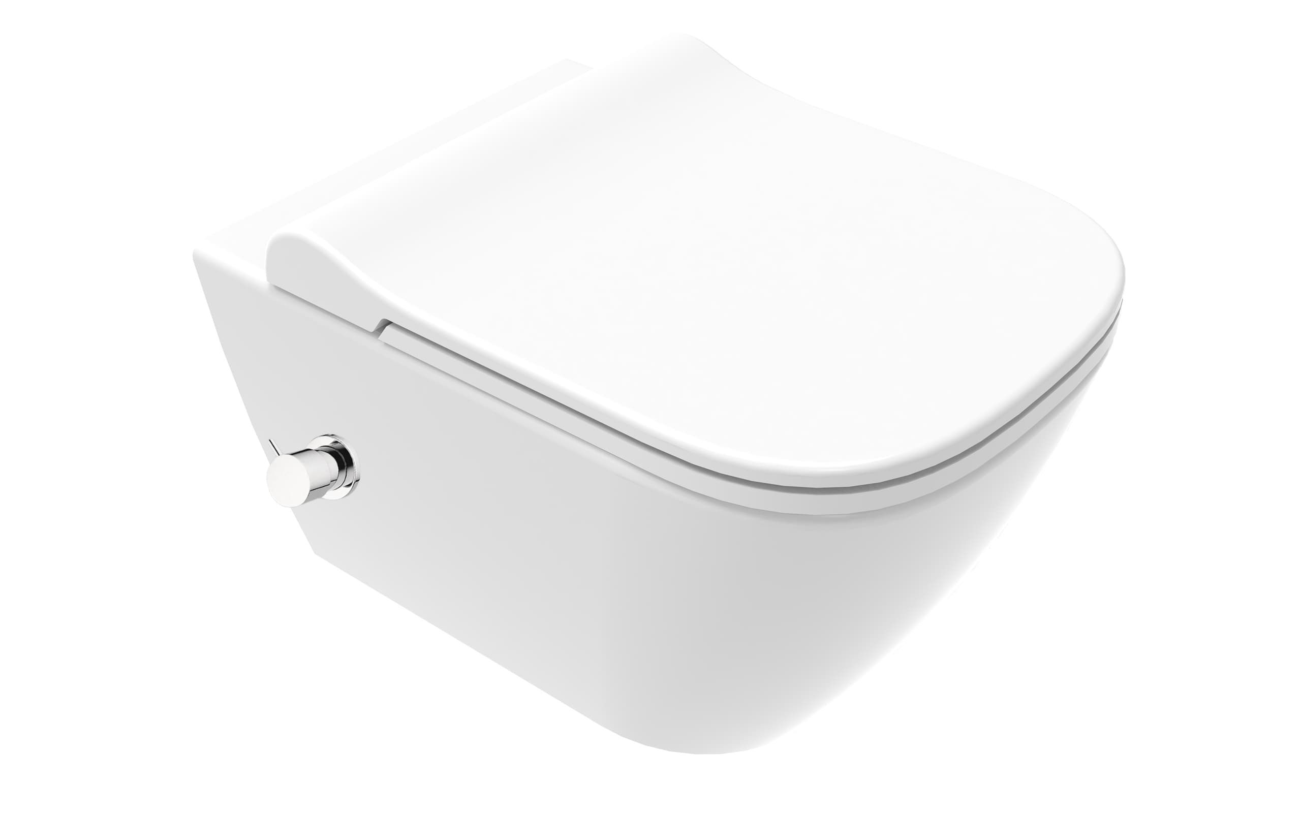 Luna Rimless Asma Klozet (Ankastre Musluklu) 1
